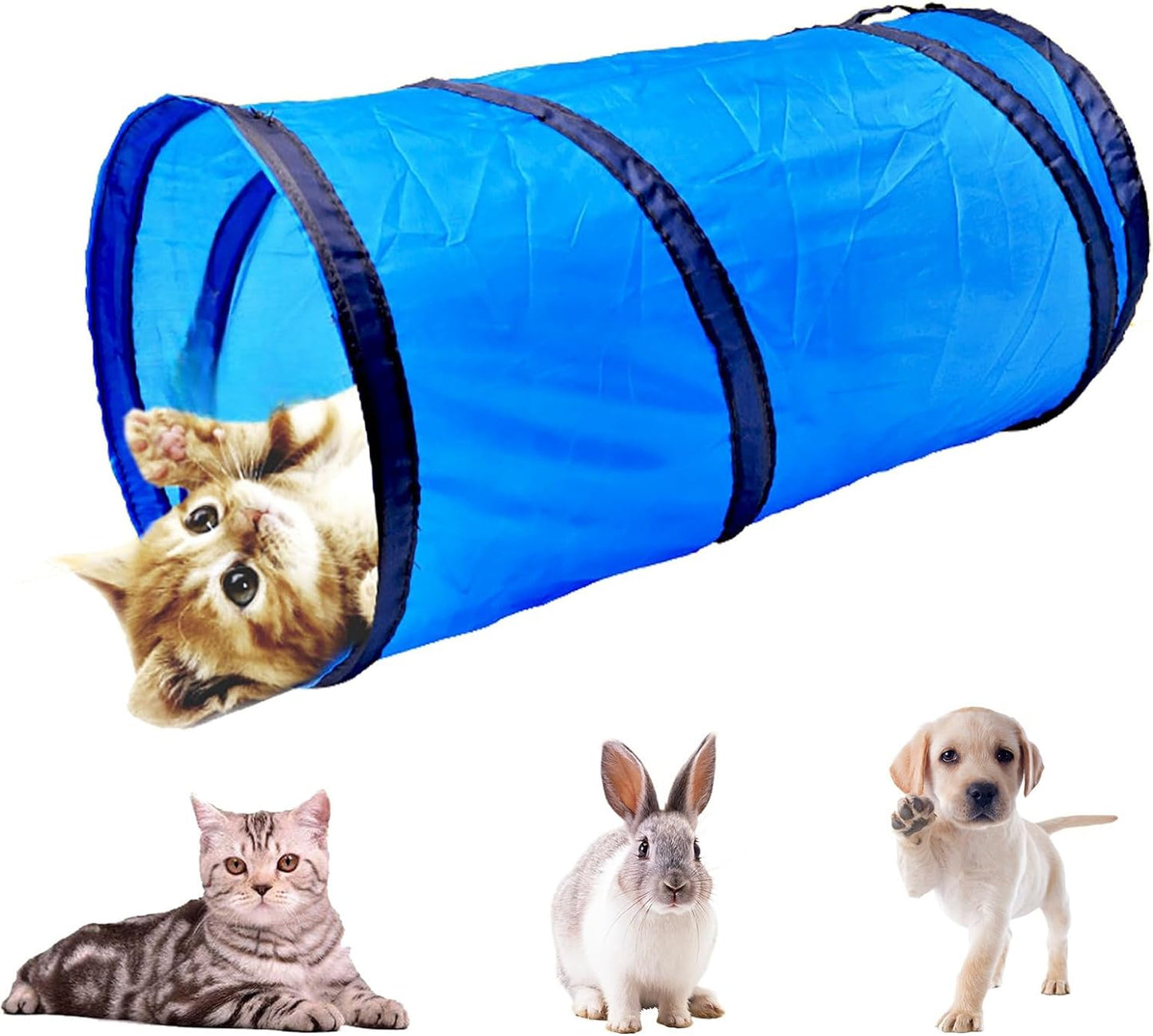 Cat Tunnel for Indoor Cats Interactive